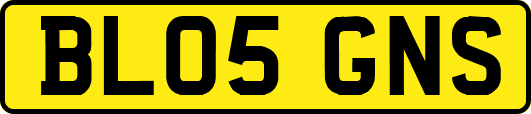 BL05GNS