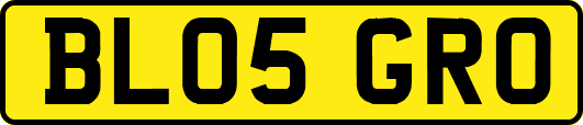 BL05GRO