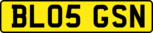 BL05GSN