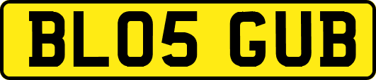 BL05GUB