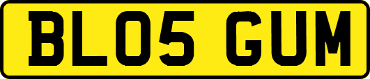 BL05GUM