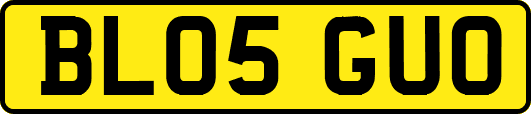 BL05GUO