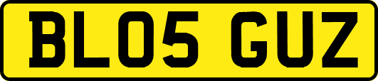 BL05GUZ