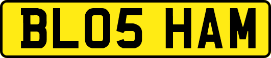 BL05HAM