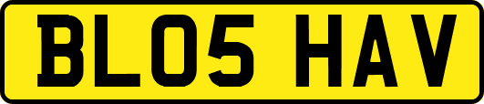 BL05HAV