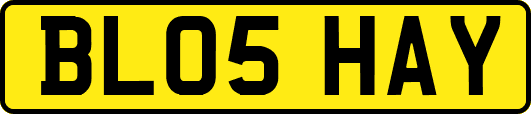 BL05HAY