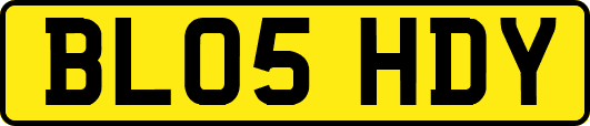BL05HDY