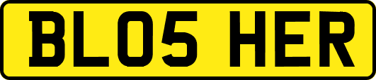 BL05HER