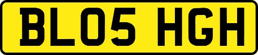 BL05HGH