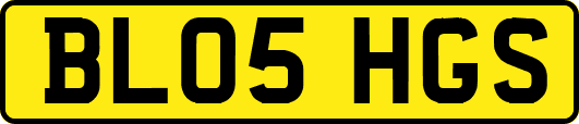 BL05HGS