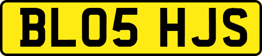 BL05HJS