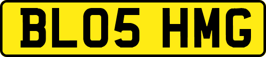 BL05HMG