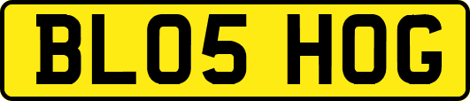 BL05HOG