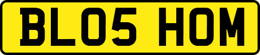 BL05HOM