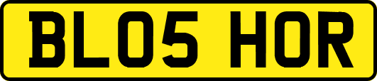 BL05HOR