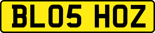 BL05HOZ