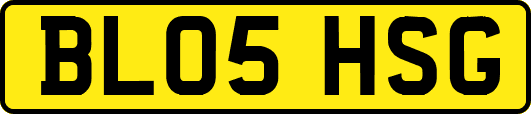 BL05HSG