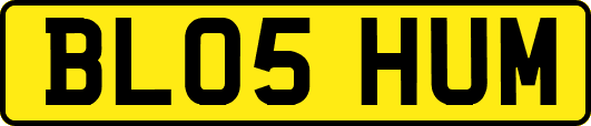 BL05HUM