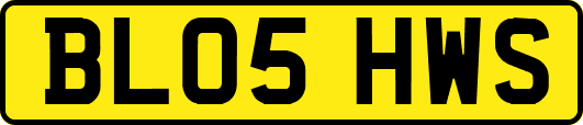 BL05HWS