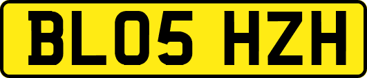 BL05HZH