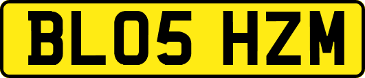 BL05HZM