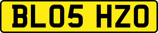BL05HZO