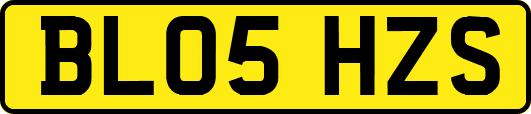 BL05HZS