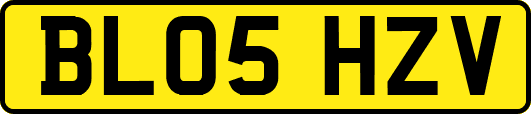 BL05HZV