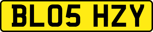 BL05HZY