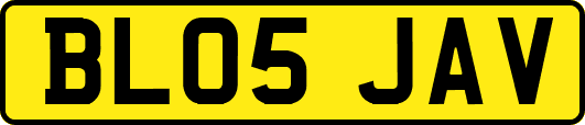 BL05JAV