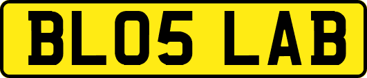 BL05LAB