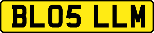 BL05LLM