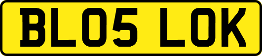 BL05LOK