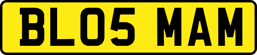 BL05MAM