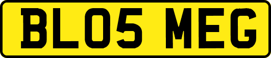 BL05MEG