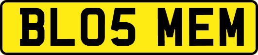 BL05MEM