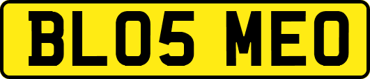 BL05MEO