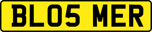 BL05MER