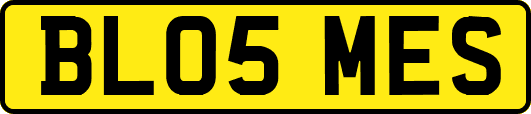 BL05MES