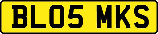 BL05MKS