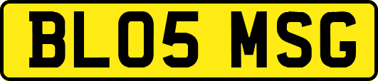 BL05MSG