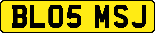 BL05MSJ