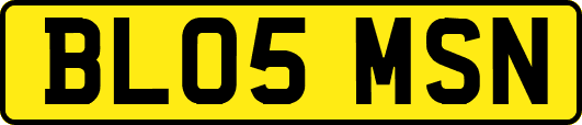 BL05MSN