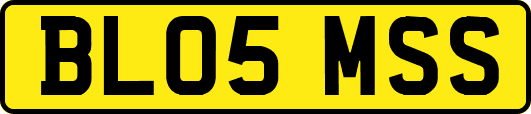 BL05MSS
