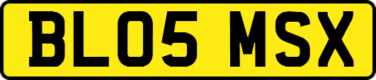 BL05MSX