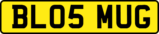 BL05MUG