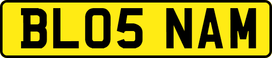 BL05NAM