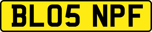 BL05NPF