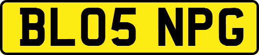 BL05NPG