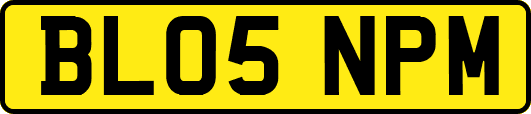 BL05NPM